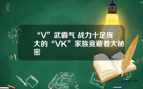 “V”武霸气 战力十足庞大的“VK”家族竟藏着大秘密
