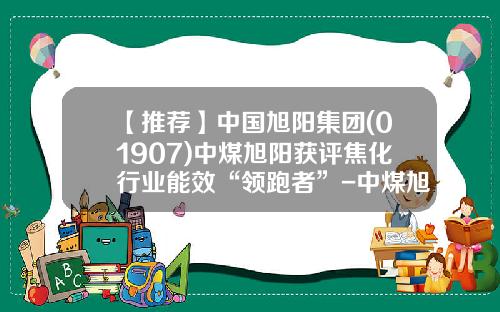 【推荐】中国旭阳集团(01907)中煤旭阳获评焦化行业能效“领跑者”-中煤旭阳现在挣多少钱