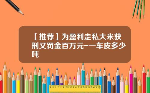 【推荐】为盈利走私大米获刑又罚金百万元-一车皮多少吨