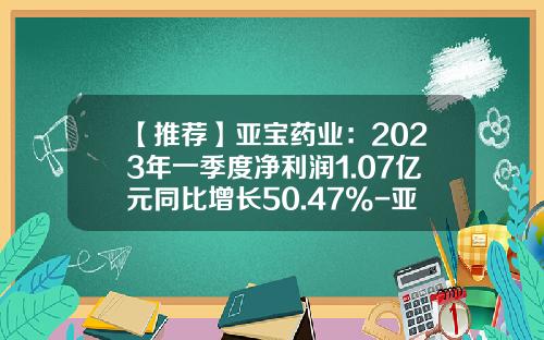 【推荐】亚宝药业：2023年一季度净利润1.07亿元同比增长50.47%-亚宝药业这家公司怎样
