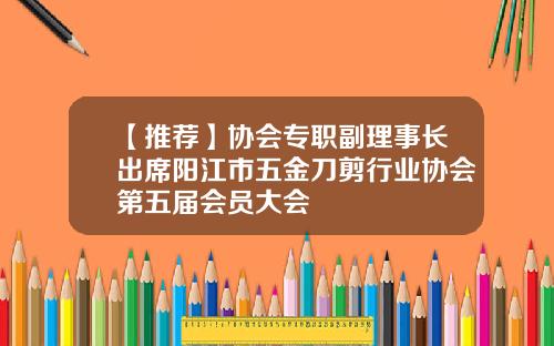 【推荐】协会专职副理事长出席阳江市五金刀剪行业协会第五届会员大会