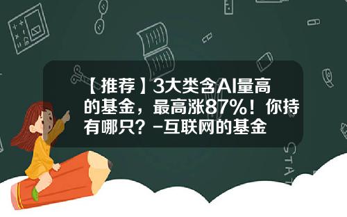 【推荐】3大类含AI量高的基金，最高涨87%！你持有哪只？-互联网的基金