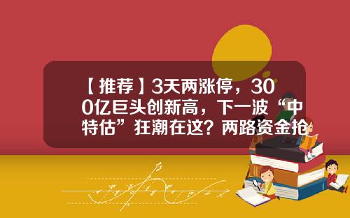 【推荐】3天两涨停，300亿巨头创新高，下一波“中特估”狂潮在这？两路资金抢筹的优质股揭秘-股票滚动资讯平台