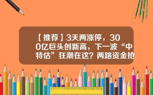【推荐】3天两涨停，300亿巨头创新高，下一波“中特估”狂潮在这？两路资金抢筹的优质股揭秘-股票资讯有个什么宝的网站