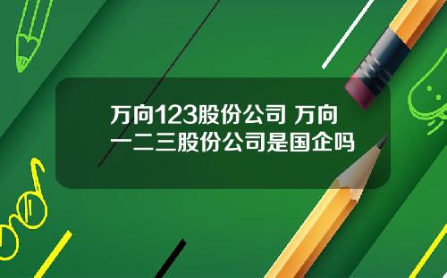 万向123股份公司 万向一二三股份公司是国企吗