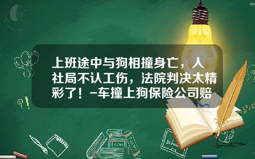 上班途中与狗相撞身亡，人社局不认工伤，法院判决太精彩了！-车撞上狗保险公司赔吗【新闻】.