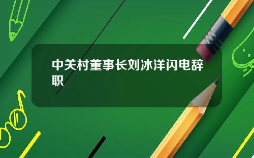 中关村董事长刘冰洋闪电辞职