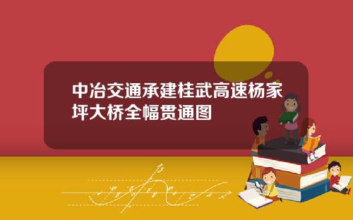 中冶交通承建桂武高速杨家坪大桥全幅贯通图