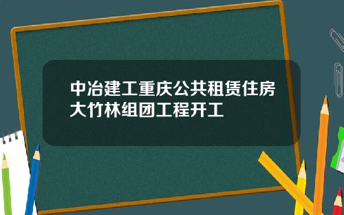 中冶建工重庆公共租赁住房大竹林组团工程开工