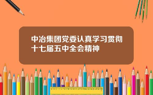 中冶集团党委认真学习贯彻十七届五中全会精神