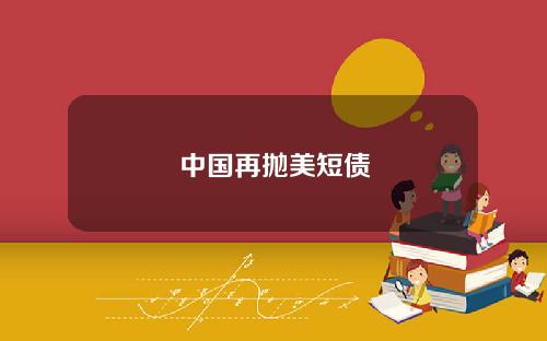 中国再抛美短债