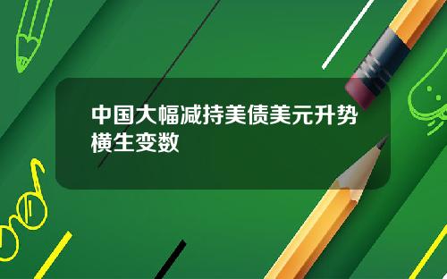 中国大幅减持美债美元升势横生变数