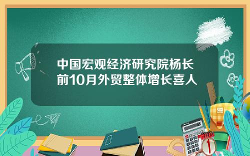 中国宏观经济研究院杨长湧前10月外贸整体增长喜人