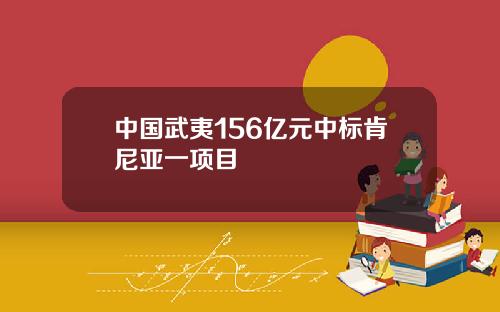中国武夷156亿元中标肯尼亚一项目