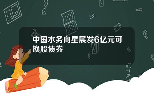 中国水务向星展发6亿元可换股债券