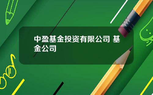 中盈基金投资有限公司 基金公司