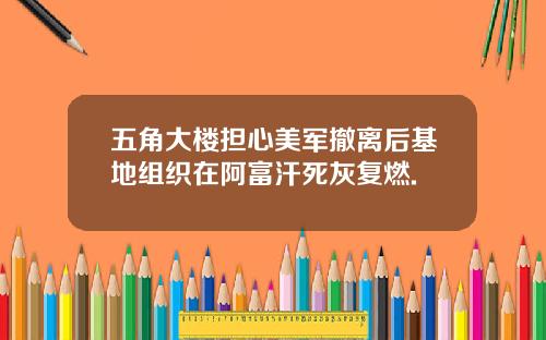 五角大楼担心美军撤离后基地组织在阿富汗死灰复燃.