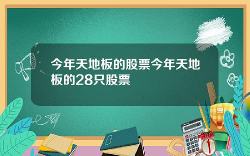 今年天地板的股票今年天地板的28只股票