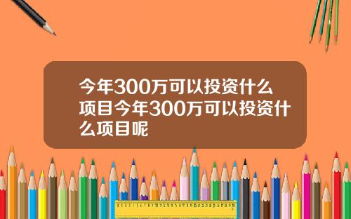 今年300万可以投资什么项目今年300万可以投资什么项目呢