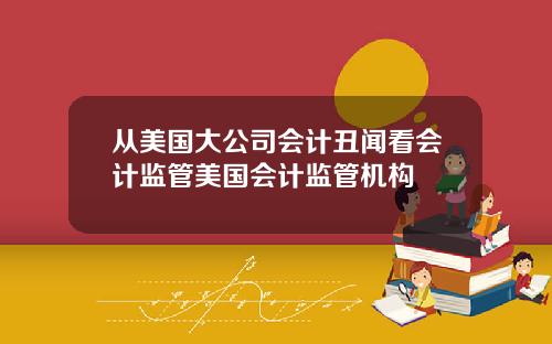 从美国大公司会计丑闻看会计监管美国会计监管机构