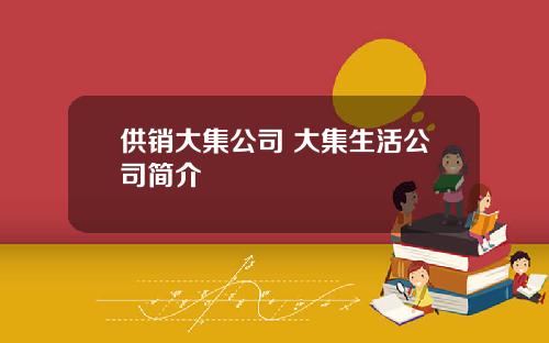供销大集公司 大集生活公司简介