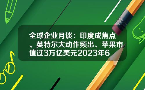 全球企业月谈：印度成焦点、英特尔大动作频出、苹果市值过3万亿美元2023年6月-全球航空公司市值