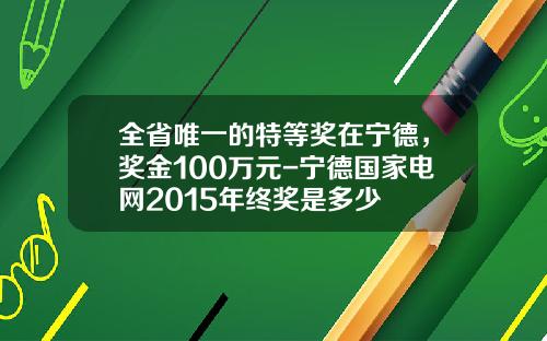 全省唯一的特等奖在宁德，奖金100万元-宁德国家电网2015年终奖是多少