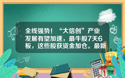 全线强势！“大信创”产业发展有望加速，最牛股7天6板，这些股获资金加仓。最新一期筹码集中股来了，4股股东户数降幅超10%-哪个股票资讯最快最准可靠