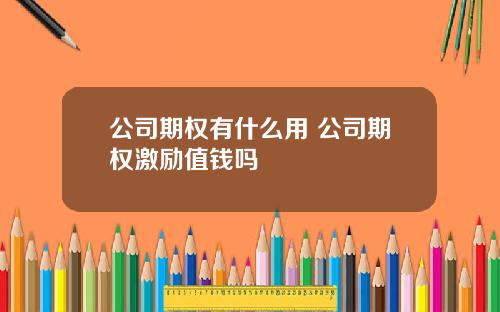 公司期权有什么用 公司期权激励值钱吗