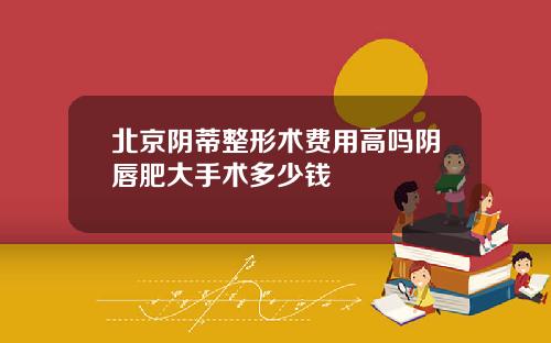 北京阴蒂整形术费用高吗阴唇肥大手术多少钱