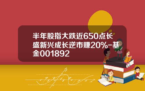 半年股指大跌近650点长盛新兴成长逆市赚20％-基金001892