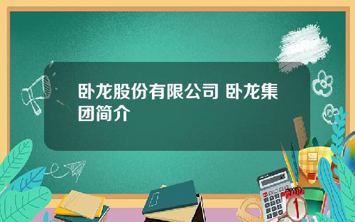 卧龙股份有限公司 卧龙集团简介