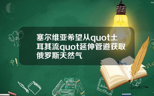 塞尔维亚希望从quot土耳其流quot延伸管道获取俄罗斯天然气
