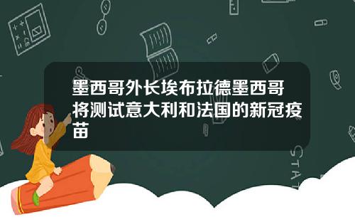 墨西哥外长埃布拉德墨西哥将测试意大利和法国的新冠疫苗