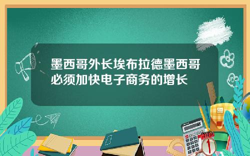 墨西哥外长埃布拉德墨西哥必须加快电子商务的增长
