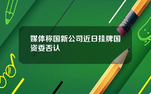 媒体称国新公司近日挂牌国资委否认