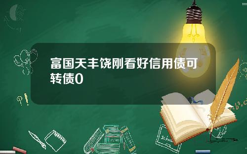 富国天丰饶刚看好信用债可转债0