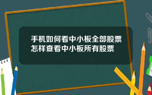 手机如何看中小板全部股票怎样查看中小板所有股票