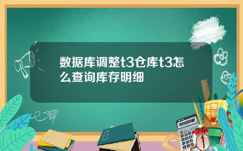 数据库调整t3仓库t3怎么查询库存明细