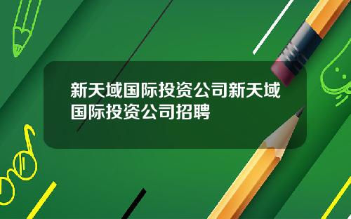 新天域国际投资公司新天域国际投资公司招聘