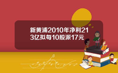 新黄浦2010年净利213亿拟每10股派17元