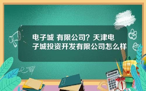 电子城 有限公司？天津电子城投资开发有限公司怎么样