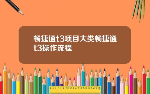 畅捷通t3项目大类畅捷通t3操作流程