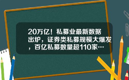 20万亿！私募业最新数据出炉，证券类私募规模大爆发，百亿私募数量超110家…-基金的体量