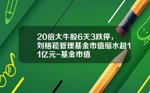 20倍大牛股6天3跌停，刘格菘管理基金市值缩水超11亿元-基金市值