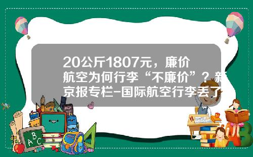 20公斤1807元，廉价航空为何行李“不廉价”？新京报专栏-国际航空行李丢了每公斤多少钱