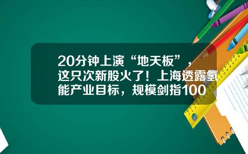 20分钟上演“地天板”，这只次新股火了！上海透露氢能产业目标，规模剑指1000亿元，上市公司布局浮出水面，高增长潜力股名单请收藏-从事氢电能源的上市公司