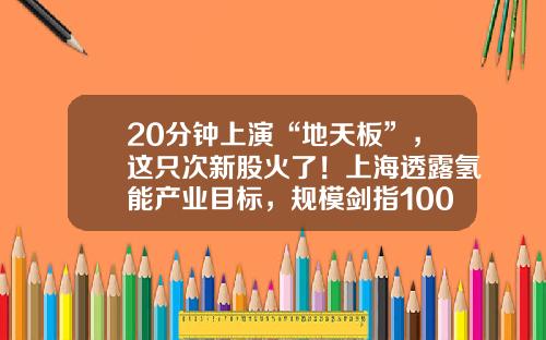 20分钟上演“地天板”，这只次新股火了！上海透露氢能产业目标，规模剑指1000亿元，上市公司布局浮出水面，高增长潜力股名单请收藏-如何快速查看股票资讯