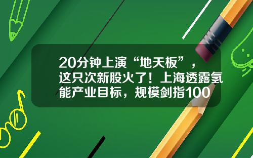 20分钟上演“地天板”，这只次新股火了！上海透露氢能产业目标，规模剑指1000亿元，上市公司布局浮出水面，高增长潜力股名单请收藏-新闻资讯股票