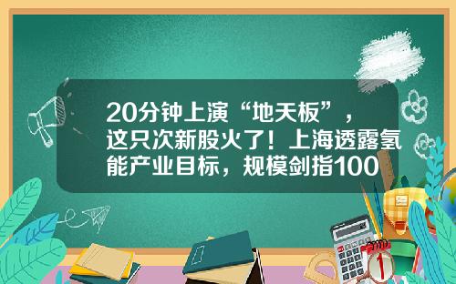 20分钟上演“地天板”，这只次新股火了！上海透露氢能产业目标，规模剑指1000亿元，上市公司布局浮出水面，高增长潜力股名单请收藏-有哪家股票资讯